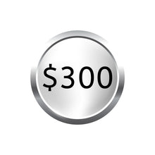 Load image into Gallery viewer, Graphic of a silver coin with black text showing "$300", representing the monthly subscription cost for a silver bar.