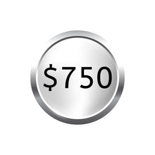 Load image into Gallery viewer, Graphic of a silver circle with '$750' text, representing the monthly commitment for the silver subscription.