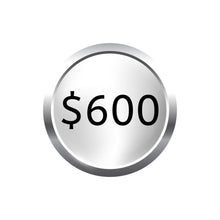Load image into Gallery viewer, Round silver graphic with a shiny border, displaying "$600" in black text, representing the monthly silver subscription.