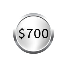 Load image into Gallery viewer, Graphic representing $700 payment for the Silver Subscription plan
