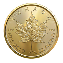 Load image into Gallery viewer, Close-up of the 2024 Canadian Gold Maple Leaf 1/4 oz coin, showcasing the detailed maple leaf design, .9999 fine gold.