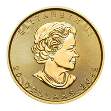Load image into Gallery viewer, 2022 1/2 oz Canadian Gold Maple Leaf Coin, Queen Elizabeth II portrait, $20 face value, 99.99% pure gold bullion.
