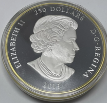 Load image into Gallery viewer, 2013 Fine silver 1 Kilo Canada $250 Maple Leaf Forever. X-124
