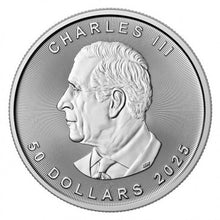 Load image into Gallery viewer, 2024 1 oz Platinum Maple Leaf Coin
